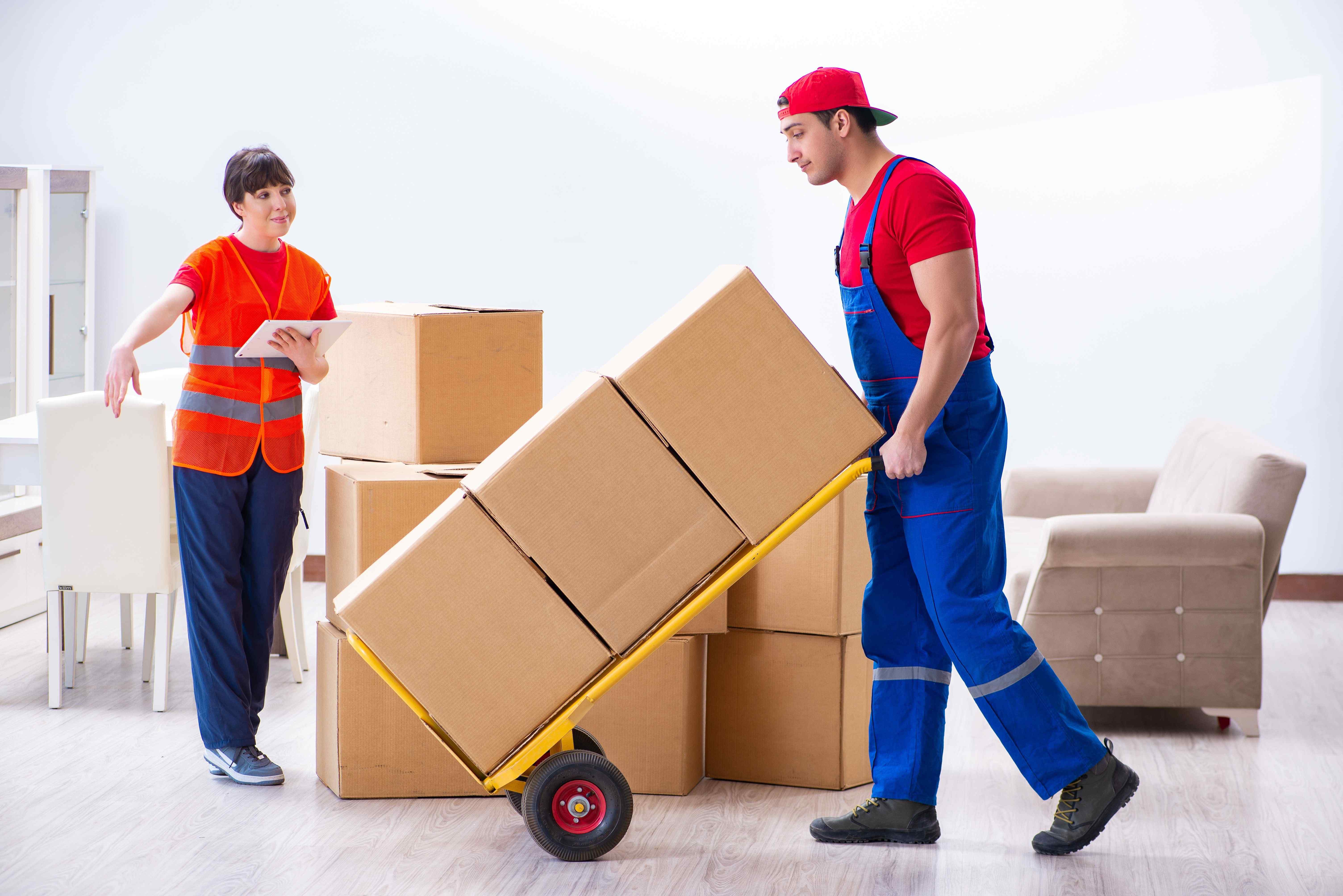 Packer and Movers